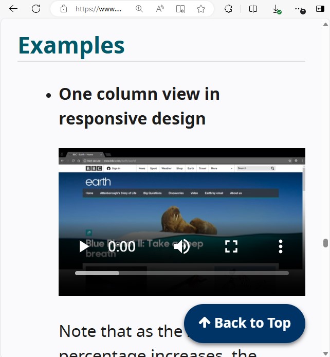 video player visually fits within its containing element, and thus no horizontal scrollbar is present for the web page at a 320px wide viewport size.