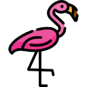 Pink Flamingo